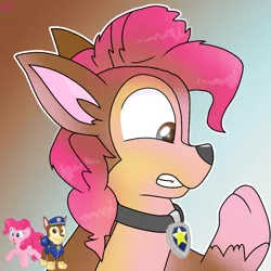 Size: 1250x1250 | Tagged: safe, artist:rainbow eevee, derpibooru import, pinkie pie, dog, earth pony, german shepherd, pony, character to character, chase, chase (paw patrol), collar, cute, gradient background, male to female, paw patrol, rule 63, rule63betes, simple background, transformation, transgender transformation, wat, worried