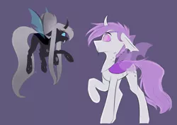 Size: 1131x800 | Tagged: artist:teelastrie, changeling, changeling oc, confused, cute, derpibooru import, double colored changeling, duo, looking at each other, oc, oc:ace gambit (nya), oc:teelastrie, purple changeling, safe, simple background, size difference, unofficial characters only, white changeling