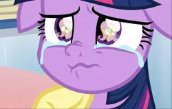 Size: 1476x938 | Tagged: alicorn, close-up, comforting, cropped, crying, derpibooru import, eye reflection, floppy ears, fluttershy, reflection, safe, scared, screencap, solo, the ending of the end, twilight sparkle, twilight sparkle (alicorn)