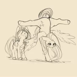 Size: 4000x4000 | Tagged: suggestive, artist:miokomata, derpibooru import, fluttershy, oc, oc:dazzling talents, alicorn, pegasus, pony, alicorn oc, blushing, chest fluff, eyes on the prize, female, flexible, freckles, freckleshy, handstand, horn, implied lesbian, mare, monochrome, simple background, sketch, upside down, wings
