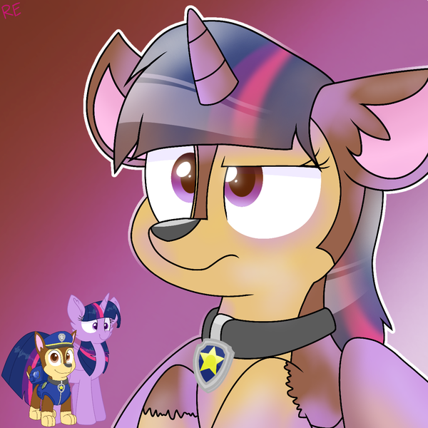 Size: 1250x1250 | Tagged: safe, artist:rainbow eevee, derpibooru import, twilight sparkle, twilight sparkle (alicorn), alicorn, dog, pony, character to character, chase (paw patrol), collar, cute, gradient background, male to female, paw patrol, rule 63, rule63betes, simple background, transformation, transgender transformation, twilight is not amused, unamused, wat