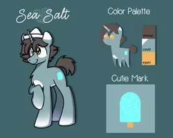 Size: 2560x2048 | Tagged: safe, derpibooru import, oc, oc:sea salt, unofficial characters only, unicorn, commission, cutie mark, hat, male, paper hat, reference sheet, solo, stallion