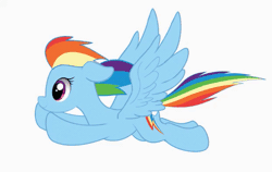 Size: 622x394 | Tagged: safe, artist:thesamstudio, derpibooru import, rainbow dash, pegasus, pony, animated, female, flying, gif, mare, simple background, solo, spread wings, windswept mane, wings