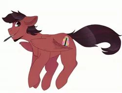 Size: 2900x2200 | Tagged: artist:jayliedoodle, blue eyes, brown mane, cheerful, derpibooru import, happy, male, oc, oc:solar strom, pegasus, pegasus oc, pen, raffle winner, red coat, safe, wings