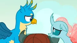 Size: 606x339 | Tagged: safe, derpibooru import, screencap, gallus, ocellus, yona, changedling, changeling, gryphon, yak, school raze, chest fluff, cloud, cropped, cute, diaocelles, duo focus, eye contact, female, flapping, floppy ears, flying, gallabetes, lidded eyes, looking at each other, luslus, male, offscreen character, out of context, shipping, shipping fuel, sky, smiling, spread wings, straight, wings