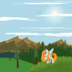 Size: 1920x1920 | Tagged: artist:agdistis, derpibooru import, drawthread, grass, green eyes, /mlp/, oc, oc:ginger peach, orange hair, pegasus, pegasus oc, safe, solo, source needed, sun, unofficial characters only, wings