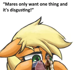 Size: 3063x2879 | Tagged: safe, artist:colochenni, derpibooru import, applejack, ponified, earth pony, horse, pony, /mlp/, 4chan, barn, drawthread, female, foal, guys literally only want one thing and its fucking disgusting, high res, irl, irl horse, mare, meme, photo, ponified meme, solo