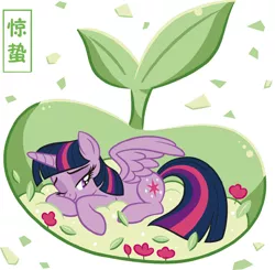 Size: 1100x1080 | Tagged: artist needed, safe, derpibooru import, official, twilight sparkle, twilight sparkle (alicorn), alicorn, pony, bedroom eyes, china, chinese text, female, flower, jingzhe, mare, seed, simple background, solar term, solo, white background