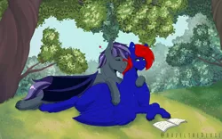 Size: 2560x1600 | Tagged: safe, artist:hazelthedevil, derpibooru import, oc, oc:night, oc:shrapnel, unofficial characters only, bat pony, pegasus, book, cuddling, ear piercing, forest background, hearts and hooves day, outdoors, piercing