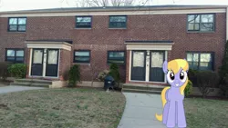 Size: 5952x3348 | Tagged: safe, artist:bluemeganium, artist:topsangtheman, derpibooru import, cloud kicker, pegasus, pony, house, irl, looking at you, photo, ponies in real life