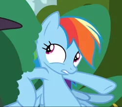 Size: 865x758 | Tagged: bush, cropped, derpibooru import, hiding, rainbow dash, safe, screencap, solo, sparkle's seven, wings