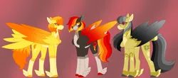 Size: 5368x2366 | Tagged: alternate version, artist:clay-bae, daring do, daringfire, derpibooru import, feathered fetlocks, female, lesbian, magical lesbian spawn, oc, oc:bonfire, offspring, parent:daring do, parents:daringfire, parent:spitfire, pegasus, safe, shipping, spitfire, tail feathers, two toned wings, wings