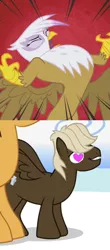 Size: 657x1497 | Tagged: safe, derpibooru import, edit, edited screencap, screencap, dumbbell, gilda, hoops, gryphon, pegasus, pony, griffon the brush off, sonic rainboom (episode), angry, cropped, female, gildabell, heart eyes, male, roar, shipping, stallion, straight, wingding eyes