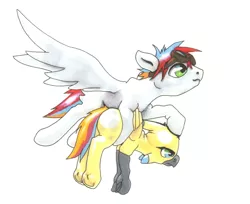 Size: 2556x2082 | Tagged: safe, artist:oddwarg, derpibooru import, oc, oc:oxford nimbus, oc:sulphur nimbus, unofficial characters only, hippogriff, pegasus, pony, butt feathers, community related, duo, female, flying, flying lesson, folded wings, goggles, hippogriff oc, holding, hoof hold, male, spread wings, stallion, sulphur nimbus, traditional art, underhoof, wings