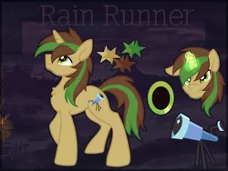 Size: 1600x1201 | Tagged: safe, artist:amura-of-jupiter, derpibooru import, oc, oc:rain runner, unofficial characters only, earth pony, commission, cutie mark, magic, male, reference sheet, starry sky, stars