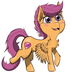 Size: 2000x2000 | Tagged: safe, artist:shinycyan, derpibooru import, scootaloo, pegasus, pony, blushing, chest fluff, cutie mark, digital art, female, filly, orange pony, png, simple background, solidarity map, solo, the cmc's cutie marks, transparent background