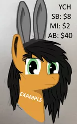 Size: 1264x2038 | Tagged: safe, artist:moonbutters, derpibooru import, edit, earth pony, pony, advertisement, commission, female, looking at you, solo, your character here