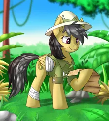 Size: 1846x2048 | Tagged: safe, artist:kaylerustone, derpibooru import, daring do, pegasus, pony, bandage, clothes, female, forest, hat, map, mare, pith helmet, tree