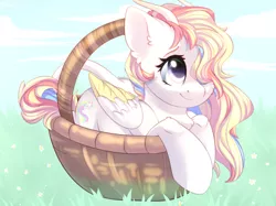 Size: 2732x2048 | Tagged: safe, artist:alphadesu, derpibooru import, oc, oc:rainbow dreams, unofficial characters only, pegasus, pony, basket, chest fluff, commission, cute, ear fluff, female, hair over one eye, horn, leonine tail, mare, pegasus oc, pony in a basket, smiling, two toned wings, wings, ych result