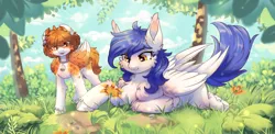 Size: 3000x1468 | Tagged: safe, artist:peachmayflower, derpibooru import, oc, oc:eva, oc:gabriel, unofficial characters only, pegasus, pony, cheek fluff, chest fluff, cloud, coat markings, collar, colored wings, duo, ear fluff, female, flower, fluffy, folded wings, grass, leg fluff, lying down, mare, outdoors, signature, sky, standing, sunny, tree, underhoof, unshorn fetlocks, wings