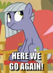 Size: 393x540 | Tagged: annoyed, caption, cropped, derpibooru import, edit, edited screencap, here we go again, image macro, limestone pie, limestone pie is not amused, meme, rock solid friendship, safe, screencap, solo, text