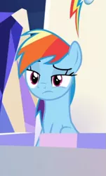 Size: 327x543 | Tagged: safe, derpibooru import, screencap, rainbow dash, pegasus, pony, sparkle's seven, cropped, female, friendship throne, lidded eyes, mare, raised eyebrow, solo