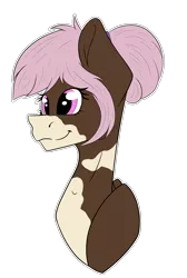 Size: 1284x1910 | Tagged: safe, artist:chazmazda, derpibooru import, oc, unofficial characters only, pony, bun, bust, colored, commission, commissions open, digital art, eye shine, flat colors, hair bun, happy, head shot, markings, outline, pink eyes, pink hair, present, shine, simple background, smiling, solo, transparent background