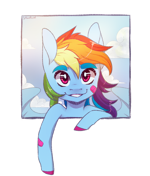 Size: 1700x2000 | Tagged: safe, alternate version, artist:silbersternenlicht, derpibooru import, rainbow dash, pegasus, pony, simple background, solo, white background