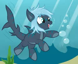 Size: 3000x2500 | Tagged: artist:pizzamovies, bubble, derpibooru import, female, oc, oc:mariana, original species, quadrupedal, safe, shark, shark pony, solo, swimming, underwater, unofficial characters only
