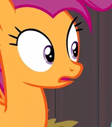 Size: 637x720 | Tagged: safe, derpibooru import, screencap, scootaloo, pegasus, pony, growing up is hard to do, close-up, cropped, eyelashes, female, looking at someone, looking at something, mare, older, older scootaloo, open mouth, purple eyes, reaction image, solo, wide eyes