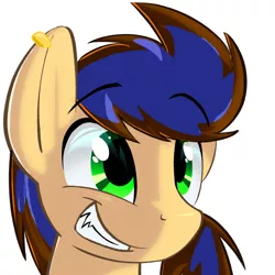 Size: 678x678 | Tagged: artist needed, source needed, safe, derpibooru import, oc, unofficial characters only, earth pony, pony, bust, ear piercing, earring, earth pony oc, eyebrows visible through hair, grin, image, jewelry, male, piercing, png, simple background, smiling, solo, stallion, white background