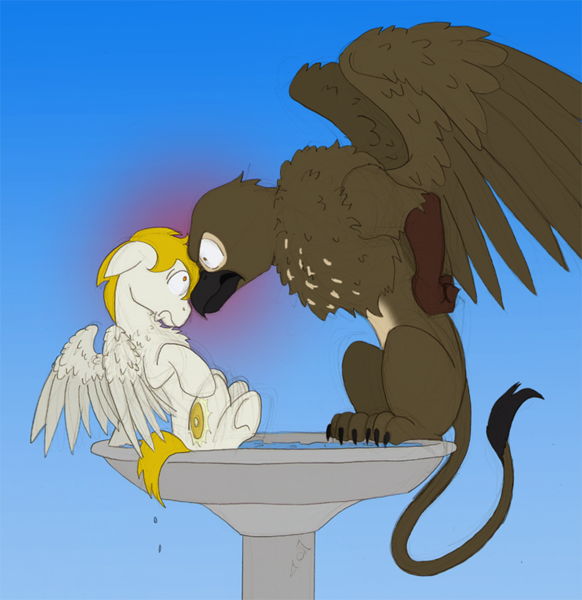 Size: 793x818 | Tagged: safe, artist:ravenpuff, deleted from derpibooru, derpibooru import, oc, oc:magnus, oc:sugar glacing, oc:sugar glazing, unofficial characters only, gryphon, pegasus, pony, angry, behaving like a bird, bird bath, chest fluff, duo, griffon oc, looking at each other, male, nervous, pegasus oc, stallion, territorial, wings