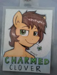 Size: 768x1024 | Tagged: safe, artist:bravelyart, derpibooru import, oc, oc:charmed clover, earth pony, pony, bust, clover, flower, flower in mouth, four leaf clover, irl, male, mouth hold, name tag, photo, smiling, stallion, traditional art