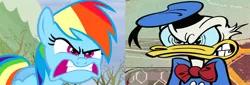 Size: 2006x681 | Tagged: angry, comparison, derpibooru import, disney, do i look angry, donald duck, edit, edited screencap, mickey mouse 2013, new mickey mouse shorts, rage, rainbow dash, safe, screencap, season 5, tanks for the memories