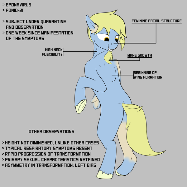 Size: 2000x2000 | Tagged: artist:barhandar, bipedal, derpibooru import, eponavirus, gray background, human shoulders, human to pony, implied coronavirus, infographic, looking back, male, mane, missing accessory, oc, oc:barhandar, oc:windswept skies, partial transformation, pegasus, ponid-21, semi-anthro, simple background, solo, stallion, suggestive, transformation, underhoof, unofficial characters only, unshorn fetlocks