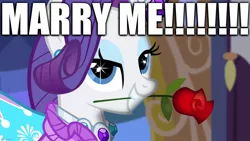 Size: 1280x720 | Tagged: safe, derpibooru import, edit, edited screencap, editor:useraccount, screencap, rarity, simple ways, bedroom eyes, bronybait, caption, clothes, cute, dress, excessive exclamation marks, flower, horn, horn ring, image macro, jewelry, lidded eyes, looking at you, marriage, marriage proposal, meme, mouth hold, raribetes, ring, rose, smiling, text, wingding eyes