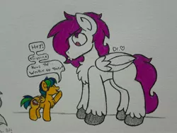 Size: 2576x1932 | Tagged: artist:drheartdoodles, chest fluff, clydesdale, coloring, derpibooru import, dialogue, female, filly, male, o3o, oc, oc:apogee, oc:dr.heart, pegasus, safe, simple background, size difference, smiling, stallion, traditional art, unofficial characters only