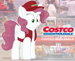 Size: 1647x1343 | Tagged: safe, artist:rainbow eevee, derpibooru import, oc, ponified, unofficial characters only, human, pegasus, pony, cap, clothes, costco, eyelashes, female, folded wings, green eyes, hat, irl, irl human, looking down, photo, solo, store, vest, wavy hair, wide eyes, wings
