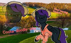 Size: 1300x785 | Tagged: safe, artist:happyartfag, banned from derpibooru, deleted from derpibooru, derpibooru import, oc, oc:nyx, alicorn, pony, /mlp/, 4chan, clothes, drawthread, farmer, female, filly, floating head, hat, image, png, shirt, solo, stock image, tom sawyer