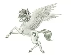 Size: 1400x1098 | Tagged: safe, artist:baron engel, derpibooru import, oc, oc:caldera, unofficial characters only, pegasus, pony, goggles, grayscale, monochrome, pencil drawing, simple background, solo, traditional art, white background