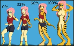 Size: 2661x1659 | Tagged: suggestive, artist:physicrodrigo, derpibooru import, part of a set, fluttershy, anthro, bat pony, big cat, digitigrade anthro, tiger, equestria girls, arm behind head, armpits, barbie doll anatomy, belly button, belt, blue background, boots, breasts, busty fluttershy, claws, clothes, commission, cosplay, costume, denim shorts, disappearing clothes, dragon ball super, fangs, featureless breasts, featureless crotch, female, fist, flutterbat, hands behind back, happy, high res, human to anthro, kale, midriff, nudity, open mouth, part of a series, percentage, prehensile tail, race swap, raised foot, raised hand, ripping clothes, sexy, shirt, shocked expression, shoes, shorts, simple background, smiling, solo, solo female, sultry pose, surprised, tail, tail hold, transformation, transformation sequence, wide eyes, wristband