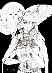 Size: 2465x3455 | Tagged: alicorn, alternate hairstyle, anthro, artist:longinius, bird, bracelet, choker, cloak, clothes, derpibooru import, female, flower, freckles, grayscale, hood, horn, horn ring, jewelry, knife, lace, looking at you, mare, monochrome, mottled coat, owl, princess luna, ribbon, ring, safe, snowy owl, spread wings, traditional art, wings