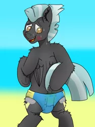 Size: 3024x4032 | Tagged: suggestive, artist:tacomytaco, derpibooru import, thunderlane, pegasus, pony, beach, bipedal, blue underwear, blushing, both cutie marks, clothes, commission, embarrassed, male, phone, solo, solo male, speedo, sweat, swimsuit, underwear