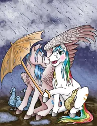 Size: 700x906 | Tagged: artist:katriona-seallach, bird, derpibooru import, food, g1, quackers, rain, safe, semi-grimdark in the description, sprinkles (g1), umbrella, wing umbrella