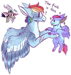 Size: 1495x1576 | Tagged: safe, artist:sleepy-nova, derpibooru import, discord, rainbow dash, oc, oc:stained glass, draconequus, hybrid, pegasus, pony, alternate design, colored wings, interspecies offspring, multicolored wings, offspring, parent:rainbow dash, parent:ursa major, scar, simple background, transparent background, vulgar, wings