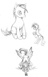 Size: 800x1284 | Tagged: safe, artist:ailish, derpibooru import, oc, unofficial characters only, earth pony, pegasus, pony, monochrome, sitting, sketch, solo