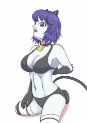 Size: 1653x2338 | Tagged: suggestive, artist:sumin6301, derpibooru import, rarity, cat, equestria girls, animal costume, bell, bell collar, belly button, big breasts, bra, breasts, busty rarity, cat bell, cat costume, cat ears, cat tail, catgirl, clothes, collar, costume, female, panties, raricat, socks, solo, solo female, thigh highs, underwear