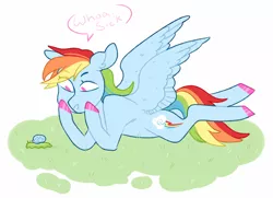 Size: 1020x738 | Tagged: safe, artist:jellybeanbullet, derpibooru import, rainbow dash, pegasus, pony, snail, colored hooves, female, grass, hooves, lying, mare, no pupils, prone, simple background, solo, speech bubble, spread wings, white background, wings