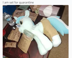 Size: 695x565 | Tagged: safe, derpibooru import, lyra heartstrings, pony, unicorn, background pony, clothes, female, irl, lauren faust, lyra plushie, mare, money, mre, pants, photo, plothole plush lyra, plushie, quarantine, rock or something, signed, solo, text, tissue, tissue box, water bottle