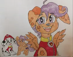 Size: 961x751 | Tagged: safe, artist:chibichangeling, derpibooru import, scootaloo, dalmatian, dog, pegasus, pony, character to character, collar, commission, cute, heart eyes, male to female, marshall (paw patrol), paw patrol, rule 63, rule63betes, simple background, traditional art, transformation, transgender transformation, wingding eyes, winged dog